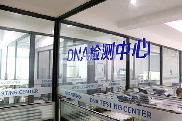 陇南全国统一采血DNA入库（一探全国DNA数据库的建设和运行机制） 